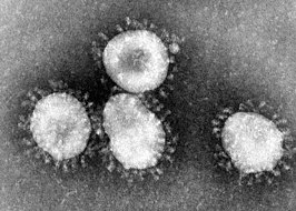 fotocoronavirus